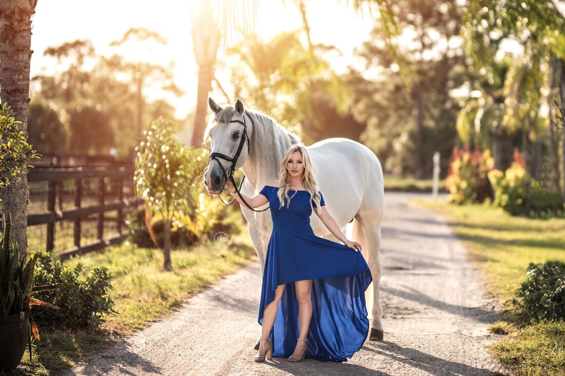 golden hour horse and rider portrait girl with grey horse, long mane and english bridle, girl is wearing a blue formal dress 