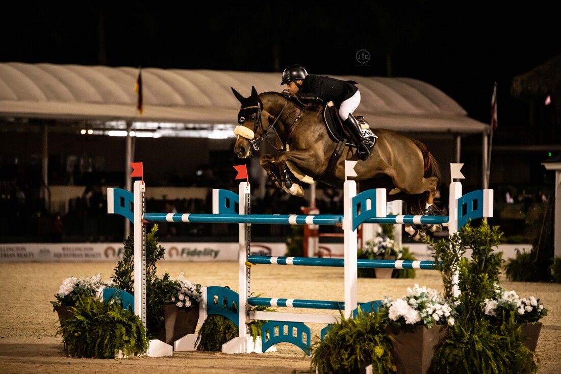 Bay horse jumping at WEF with male rider in english attire at night